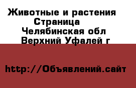  Животные и растения - Страница 10 . Челябинская обл.,Верхний Уфалей г.